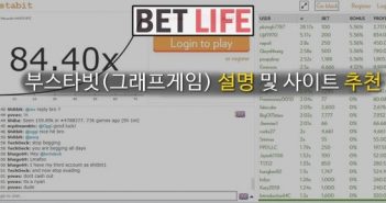 부스타빗(그래프게임) 게임 설명 및 사이트 추천